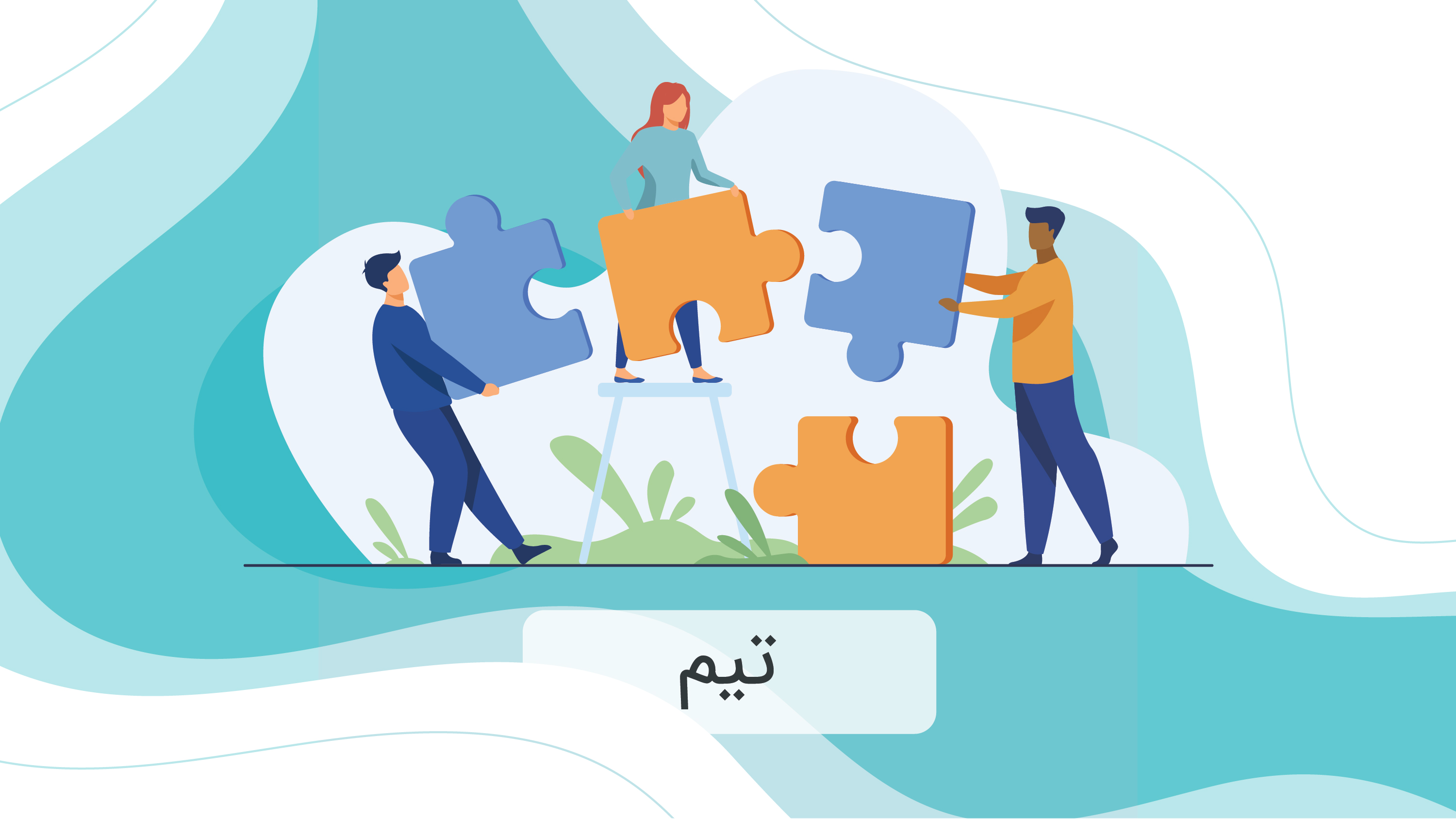 تیم 