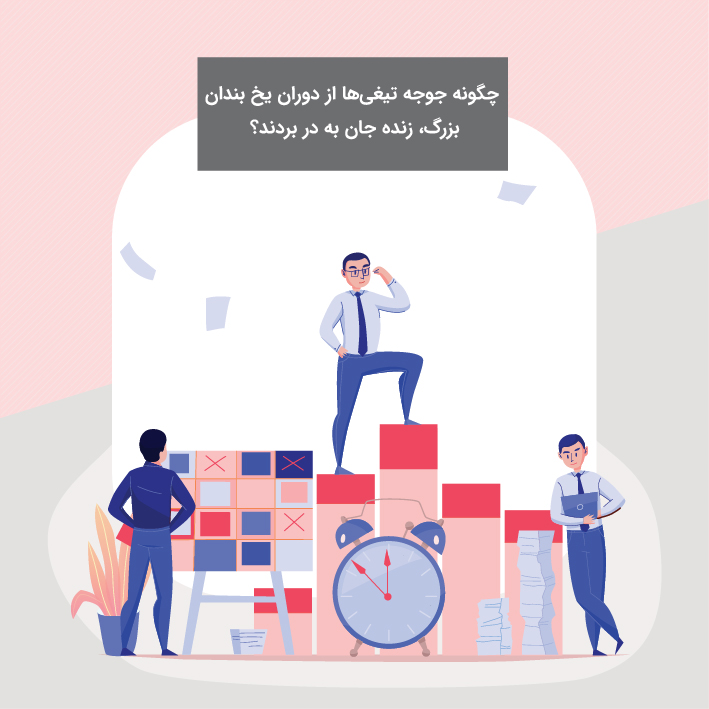 وبینار چگونه جوجه تیغی ها از دوران یخ بندان بزرگ زنده جان به در بردند