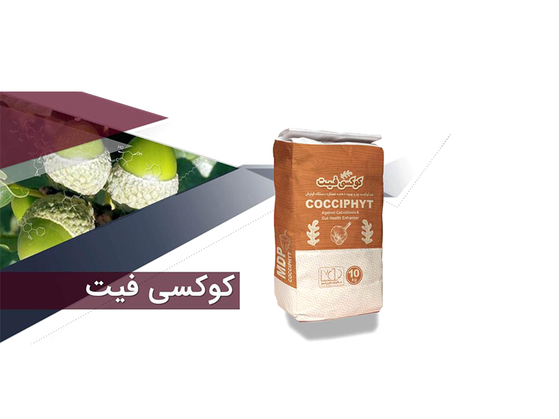داروی گیاهی ضدکوکسیدیوز 1(طرح همه یاهیچ)