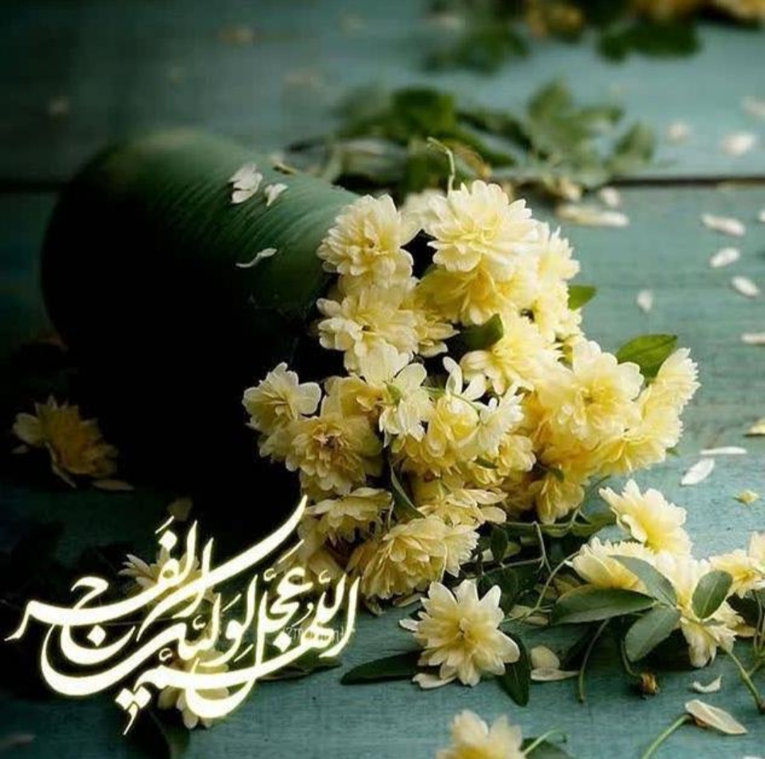 سید مهدی نصراله صابری