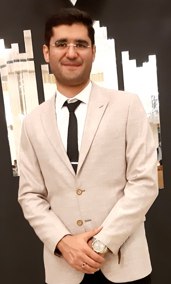 سید حمید  میردامادی