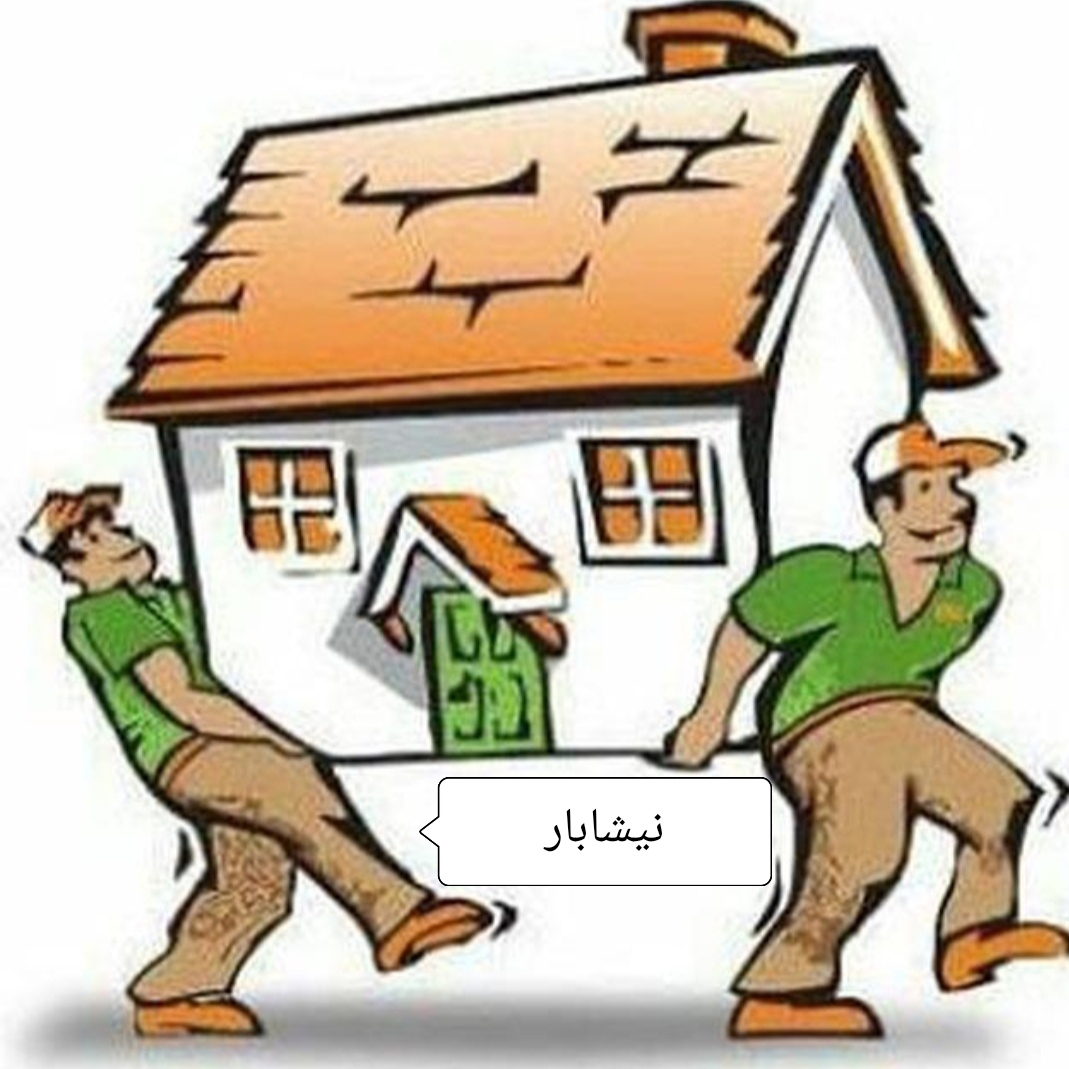 محمود  لطفی 